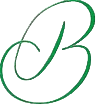 Logo-B-NoBackground-Photoroom
